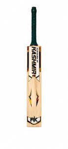 Ready to play cricket bat