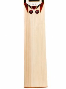 Premium Kashmir Willow Cricket Bat | 12+ Straight Grains | Double Shade Willow | Lightweight Under 1.199g | Ready to Play | Professional Cricket Bat with Free Cover, Grip, Face Tape & Stroke Hammer